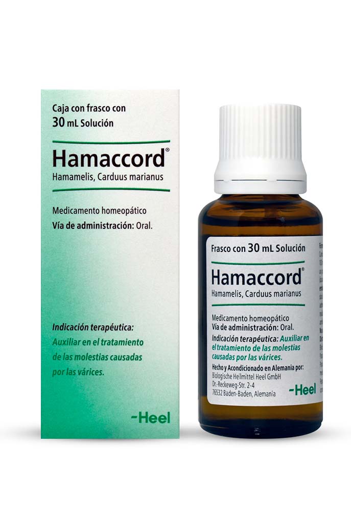 Hamaccord -Heel